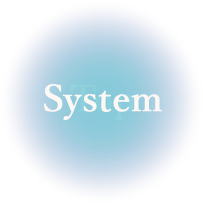 System