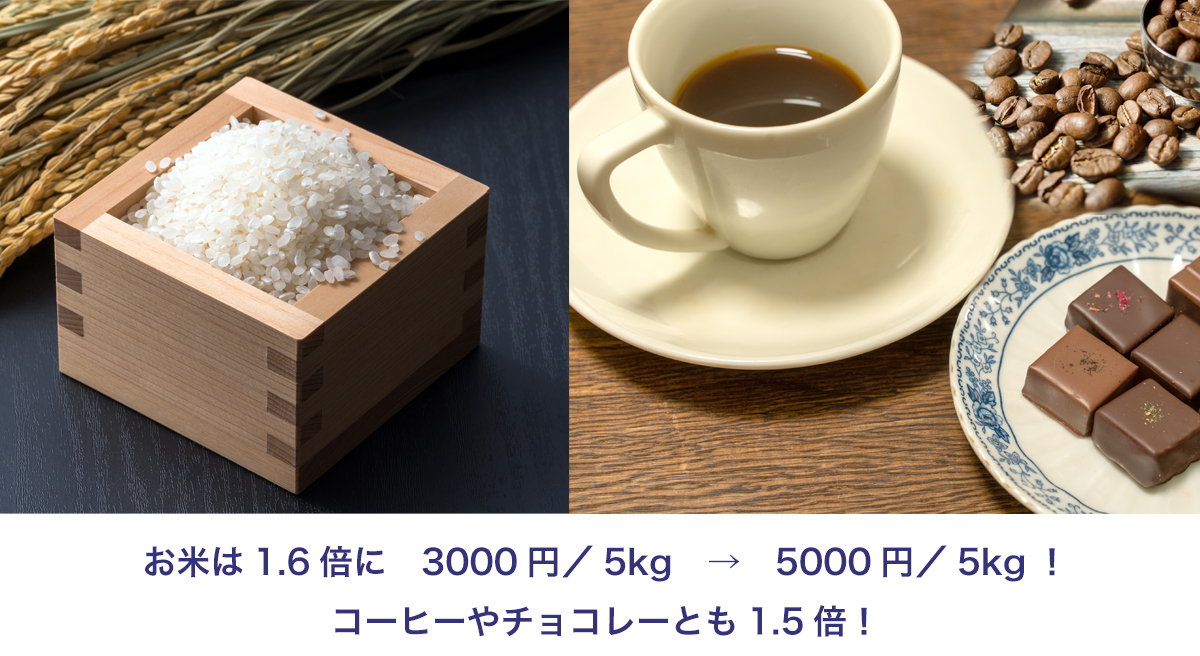 お米や食品の値上げ解説図